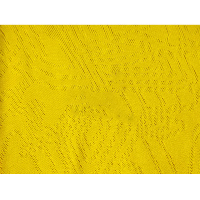 Camiseta de Entrenamiento Borussia Dortmund 24-25 Amarillo